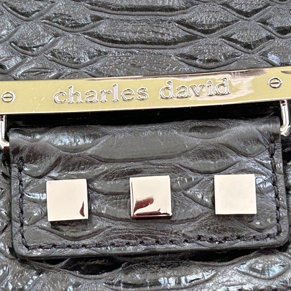 Charles David Patent Leather Bag - Picture 2 of 9